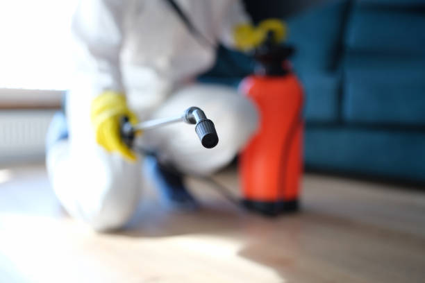 Riverton, NJ Mold Removal Company