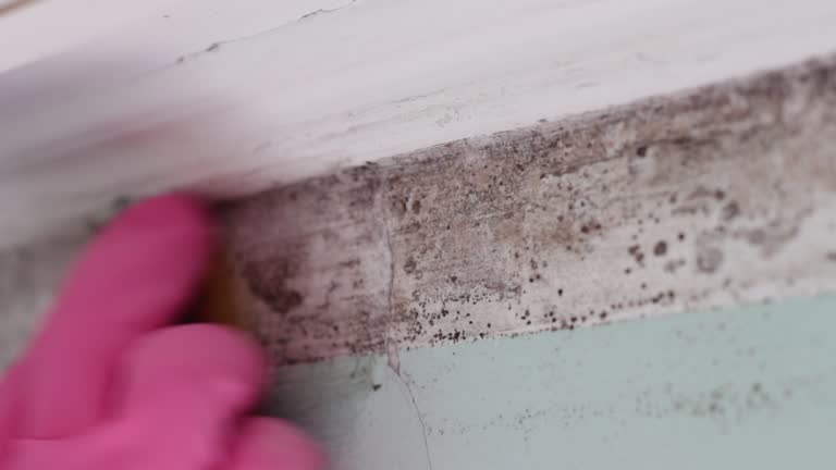 Best Mold Remediation for Healthcare Facilities  in Riverton, NJ